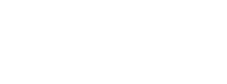 Logo von zaluma Voicebot